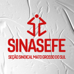 sinasefems