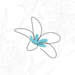 lojacarolinebrands
