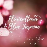 floriculturabluejasmine
