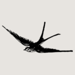 avplojas