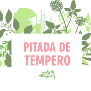 pitadadetempero