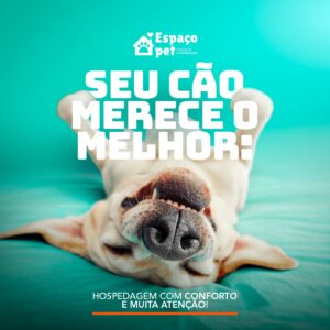 espacopetcamposnovos