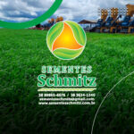 sementesschmitz