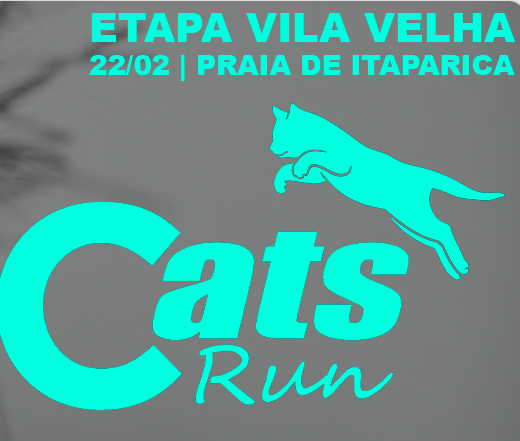 FOTOS CATS RUN